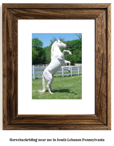 horseback riding near me in South Lebanon, Pennsylvania